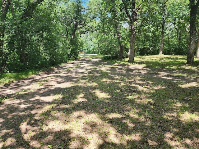 32636 Birchwood Shore Dr, Underwood, MN 56586 - photo 12