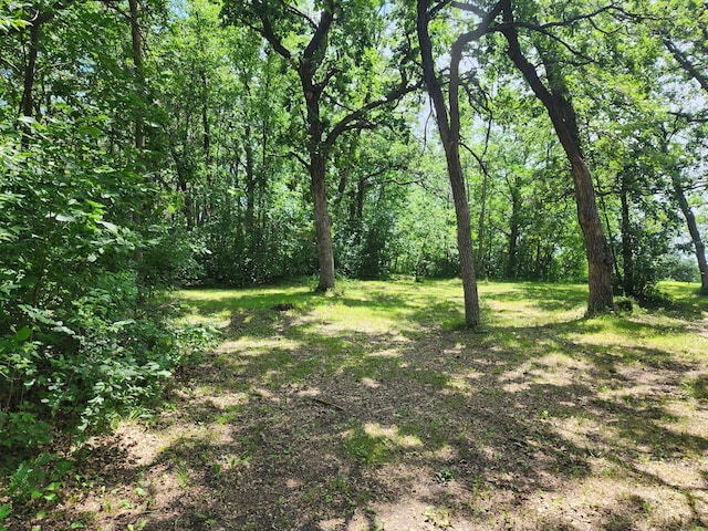 32636 Birchwood Shore Dr, Underwood, MN 56586 - photo 19