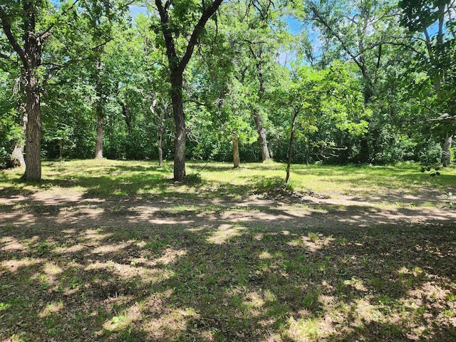 32636 Birchwood Shore Dr, Underwood, MN 56586 - photo 22