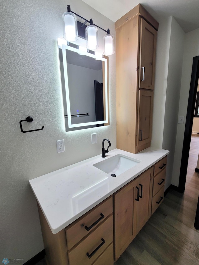 327 Mickey Mouse Ave, Horace, ND 58047 - bathroom with wood finished floors, vanity, and a textured wall