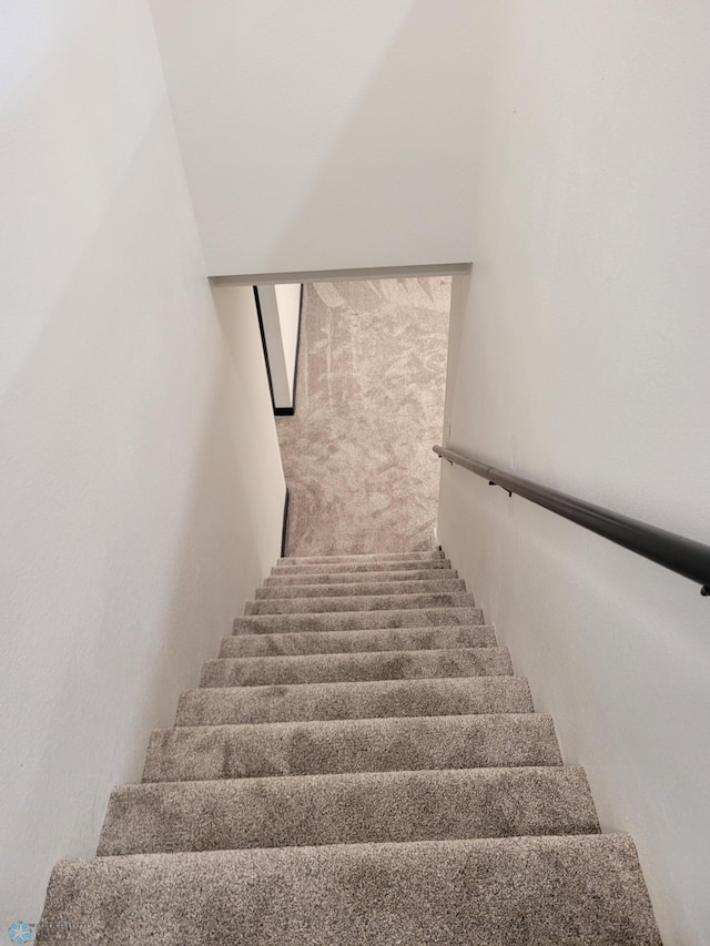 327 Mickey Mouse Ave, Horace, ND 58047 - stairs featuring carpet floors