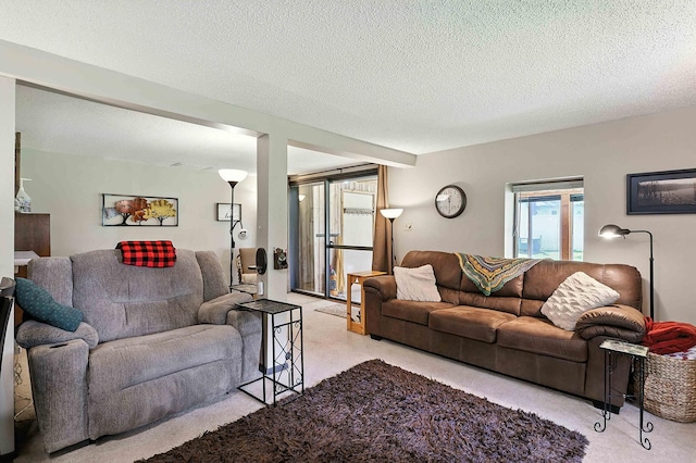 28443 Lake Dr, Peace Twp, MN 55051 - photo 21
