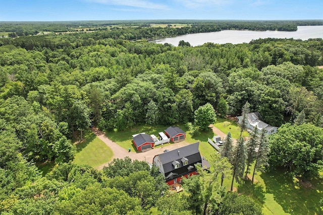 28443 Lake Dr, Peace Twp, MN 55051 - photo 29