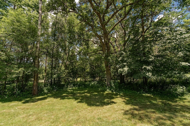 1125 Riverwood Dr SW, Oronoco, MN 55960 - photo 61
