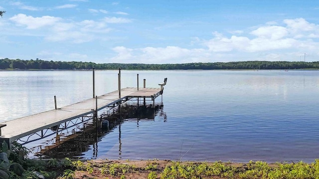 29207 421st Pl, Farm Island Twp, MN 56431 - photo 1