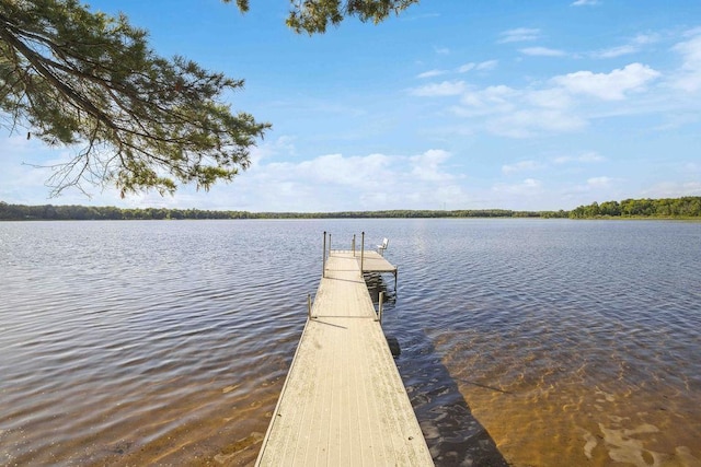 29207 421st Pl, Farm Island Twp, MN 56431 - photo 23