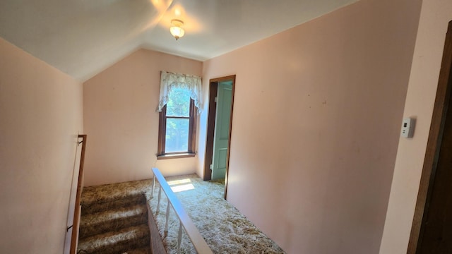 211 2nd St, Hatfield, MN 56164 - unfurnished bedroom featuring carpet floors and vaulted ceiling