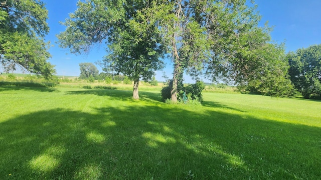 211 2nd St, Hatfield, MN 56164 - view of green lawn