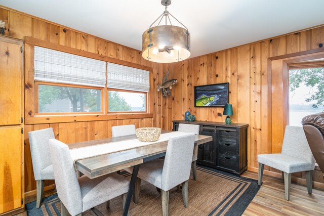 39326 Shore Dr SE, Erskine, MN 56535 - photo 6