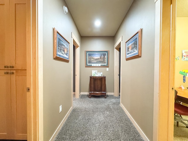 4517 Allyson Ct, Moorhead, MN 56560 - photo 39