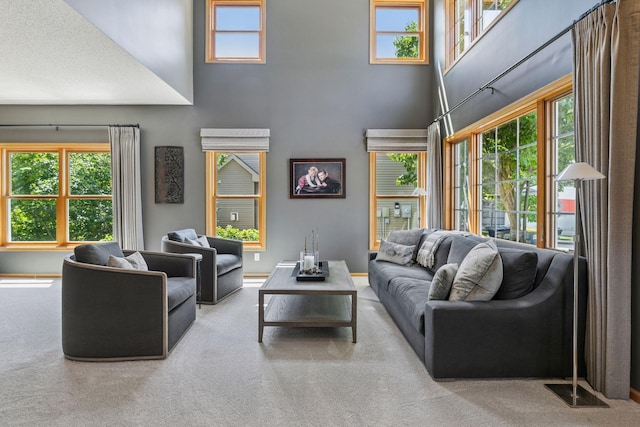 13836 Clare Downs Way, Rosemount, MN 55068 - living area with a high ceiling, carpet flooring, and healthy amount of natural light