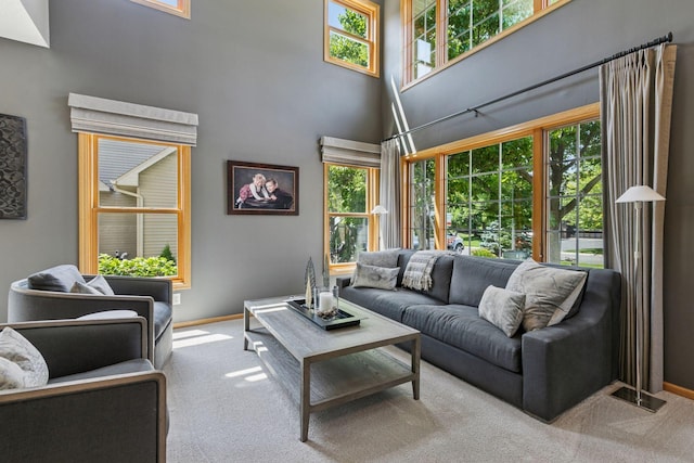 13836 Clare Downs Way, Rosemount, MN 55068 - living room featuring carpet, healthy amount of natural light, and a high ceiling