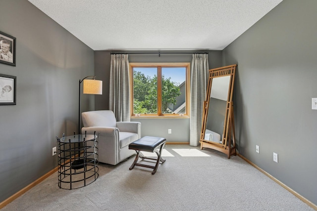 13836 Clare Downs Way, Rosemount, MN 55068 - living area featuring carpet flooring and a textured ceiling