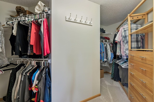 13836 Clare Downs Way, Rosemount, MN 55068 - walk in closet with carpet flooring