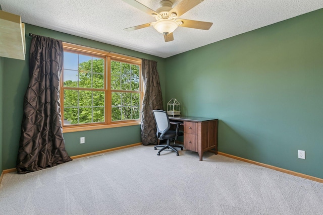 13836 Clare Downs Way, Rosemount, MN 55068 - office space featuring carpet floors, ceiling fan, and a textured ceiling