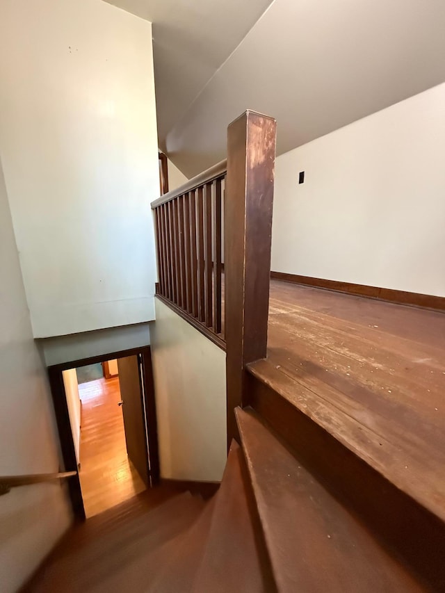 103 Arnold Ave N, Thief River Falls, MN 56701 - photo 28