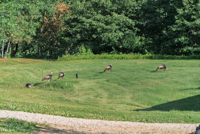5235 313th Ave NW, Spencer Brook Twp, MN 55008 - photo 16