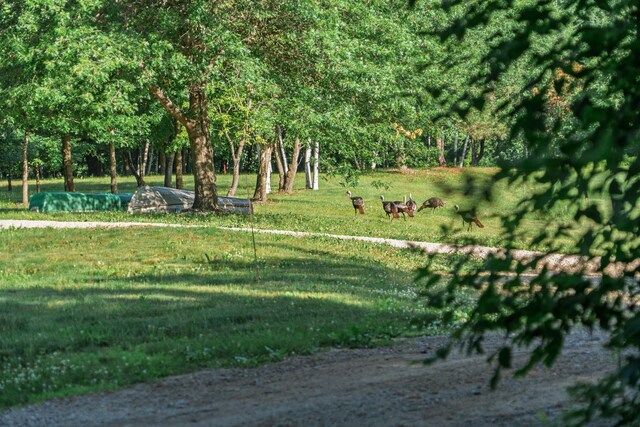5235 313th Ave NW, Spencer Brook Twp, MN 55008 - photo 86