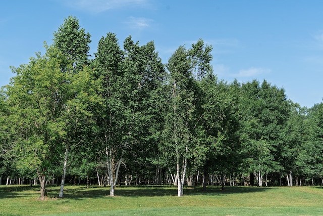 5235 313th Ave NW, Spencer Brook Twp, MN 55008 - photo 88