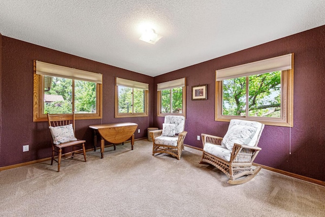 554 Karmil Pl, Gaylord, MN 55334 - photo 16