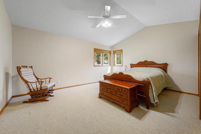 554 Karmil Pl, Gaylord, MN 55334 - photo 19