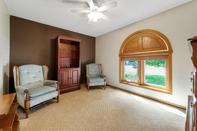 554 Karmil Pl, Gaylord, MN 55334 - photo 24