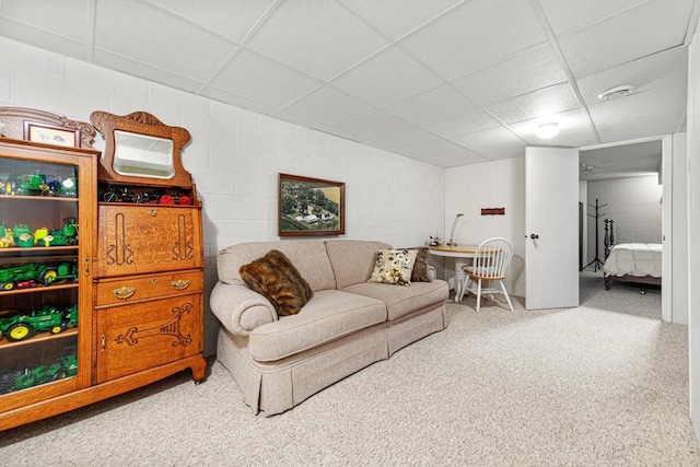554 Karmil Pl, Gaylord, MN 55334 - photo 26