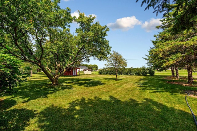 554 Karmil Pl, Gaylord, MN 55334 - photo 32