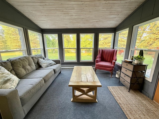 131 Fern Rd, Thief River Falls, MN 56701 - photo 37