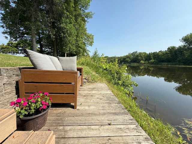 131 Fern Rd, Thief River Falls, MN 56701 - photo 105