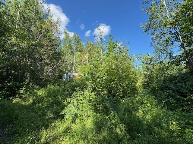 40A Bridgie Rd, Northome, MN 56661 - photo 1