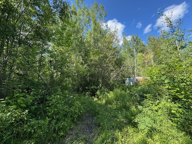40A Bridgie Rd, Northome, MN 56661 - photo 2