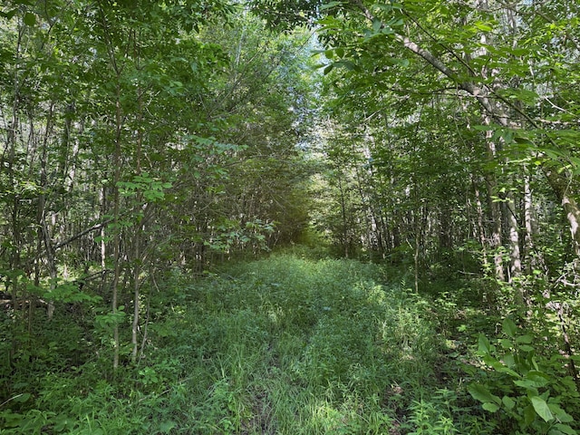 40A Bridgie Rd, Northome, MN 56661 - photo 7