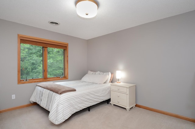 15847 Zumbrota St NE, Ham Lake, MN 55304 - photo 38