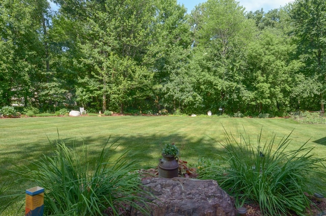 15847 Zumbrota St NE, Ham Lake, MN 55304 - photo 51