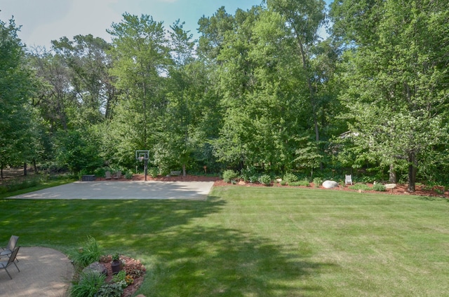 15847 Zumbrota St NE, Ham Lake, MN 55304 - photo 57
