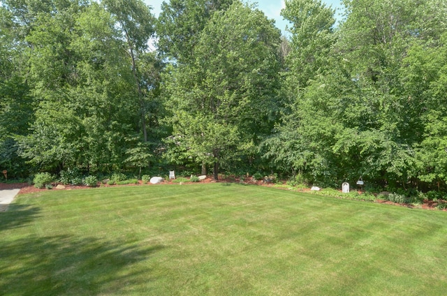 15847 Zumbrota St NE, Ham Lake, MN 55304 - photo 59