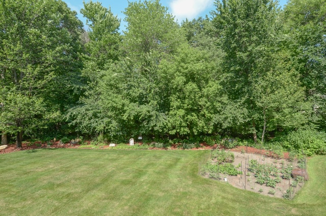 15847 Zumbrota St NE, Ham Lake, MN 55304 - photo 62