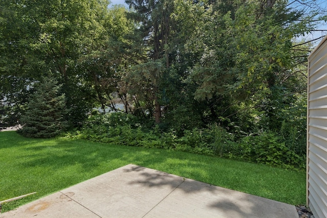12226 River Valley Dr, Burnsville, MN 55337 - photo 39