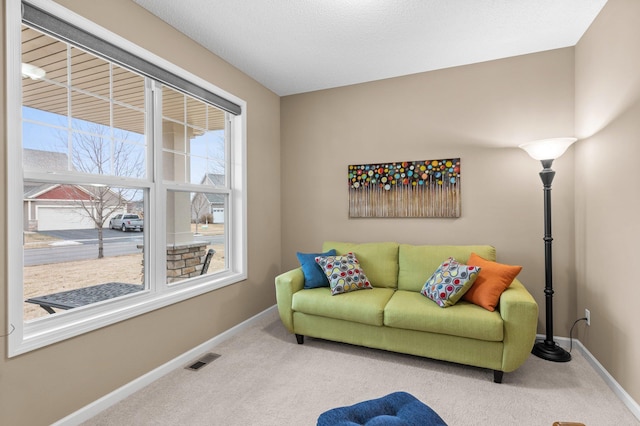 4584 Merganser Dr, Minnetrista, MN 55375 - photo 7