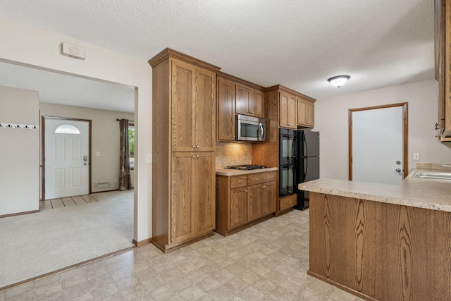 2672 106th Ln NW, Coon Rapids, MN 55433 - photo 10