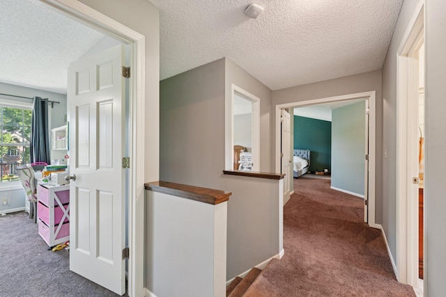 14773 Langdon Pl, Eden Prairie, MN 55347 - photo 35