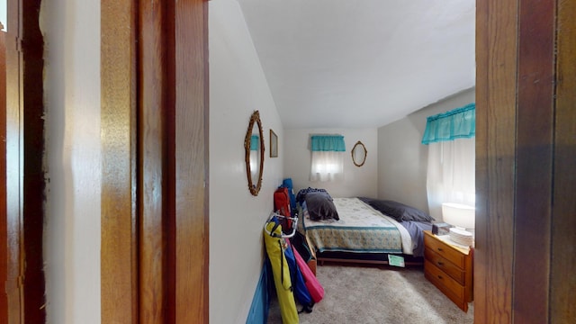 430 Ulstad Ave, Albert Lea, MN 56007 - photo 8