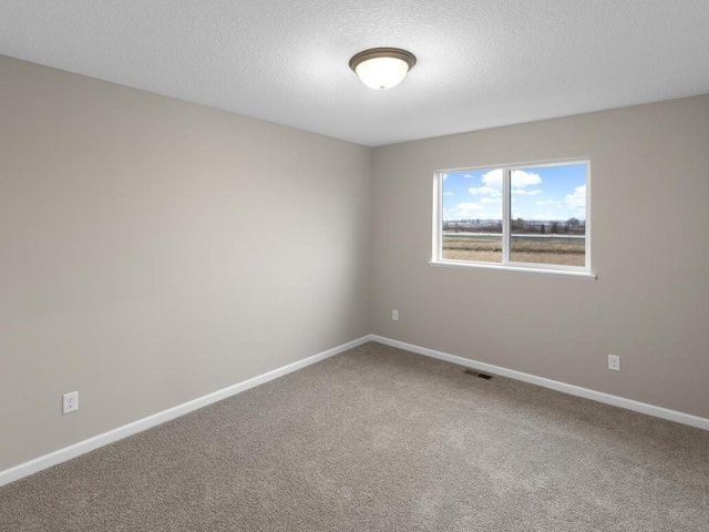 9773 32nd St NE, Saint Michael, MN 55376 - photo 20