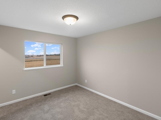 9773 32nd St NE, Saint Michael, MN 55376 - photo 23