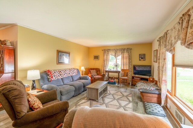 702 9th Ave S, Saint James, MN 56081 - photo 12