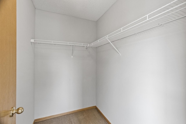 1211 9th Ave, Anoka, MN 55303 - photo 15