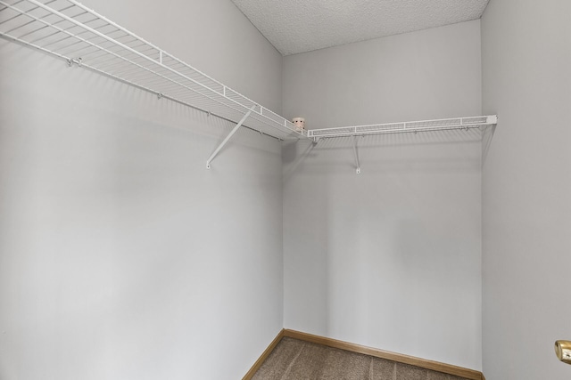 1211 9th Ave, Anoka, MN 55303 - photo 20