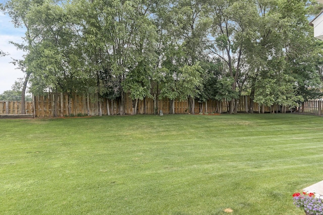 1211 9th Ave, Anoka, MN 55303 - photo 30