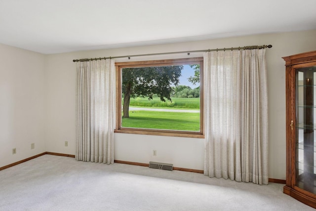 440 Oak Ln, Norwood Young America, MN 55397 - photo 9